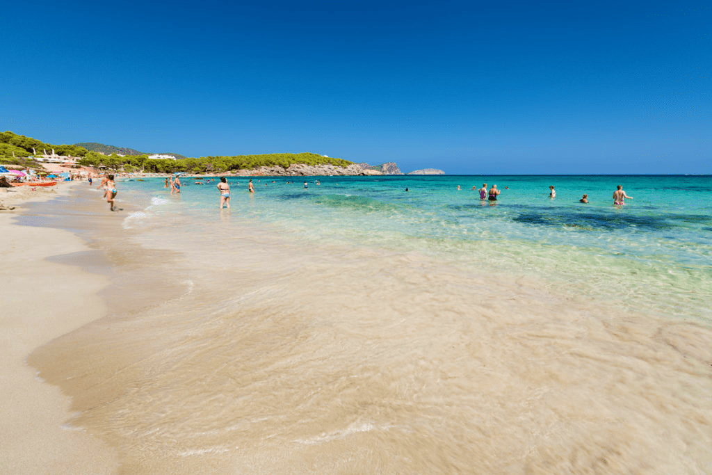cala nova