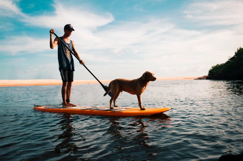 Get up, Stand Up, Paddle Surfing in Ibiza