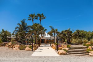 Ibiza Incorporated - IBZ INC - All Things Ibiza - Blue Marlin Ibiza