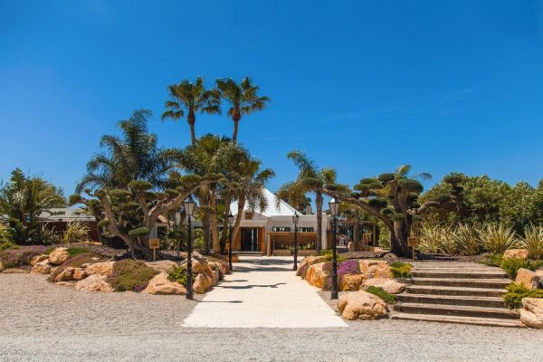 Ibiza Incorporated - IBZ INC - All Things Ibiza - NEWS