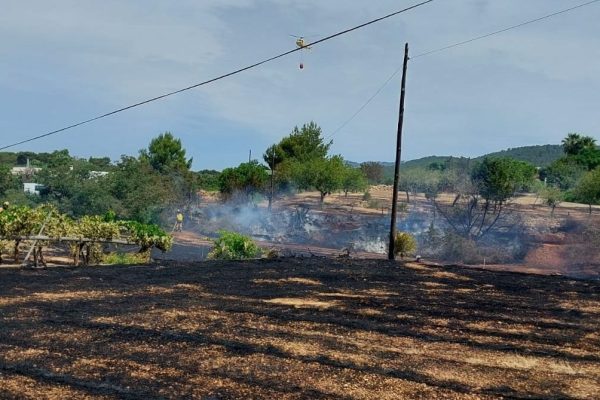 Ibiza Incorporated - IBZ INC - All Things Ibiza - NEWS