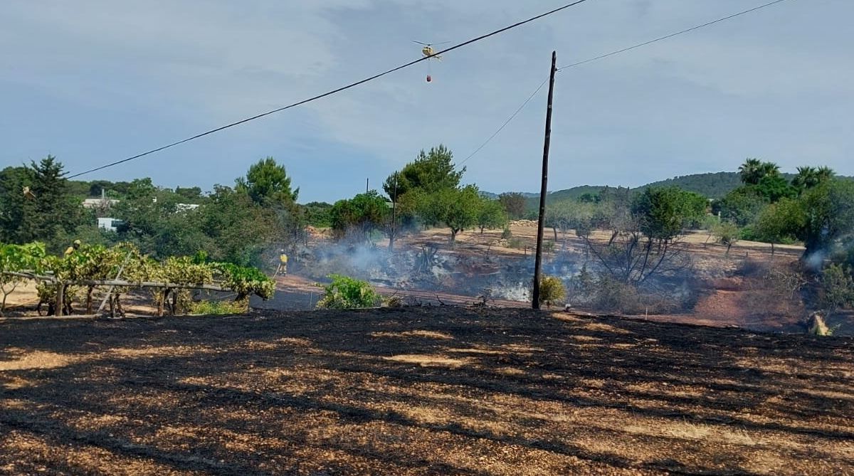 Ibiza Incorporated - IBZ INC - All Things Ibiza - NEWS