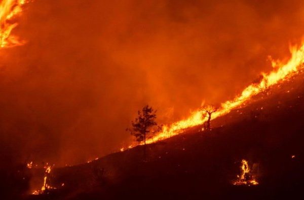 Ibiza Incorporated - IBZ INC - All Things Ibiza - NEWS