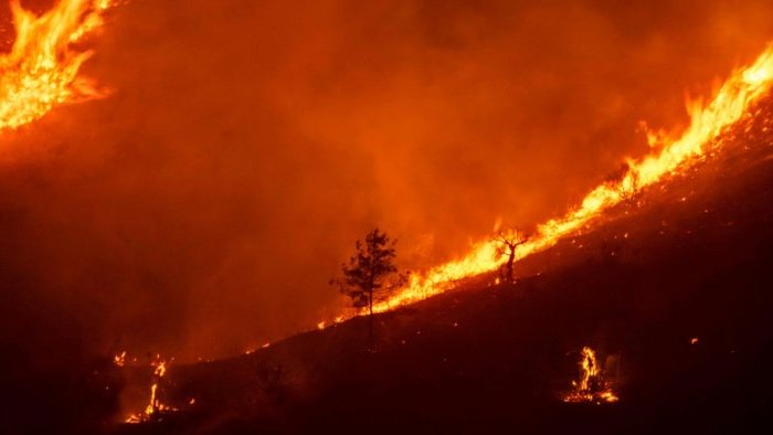 Ibiza Incorporated - IBZ INC - All Things Ibiza - NEWS