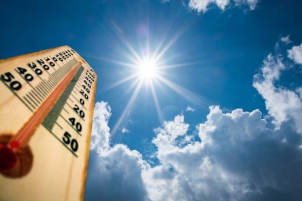 Ibiza Incorporated - IBZ INC - All Things Ibiza - NEWS