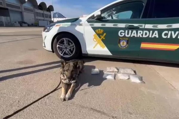 Guardia Civil Dog Detects Drugs