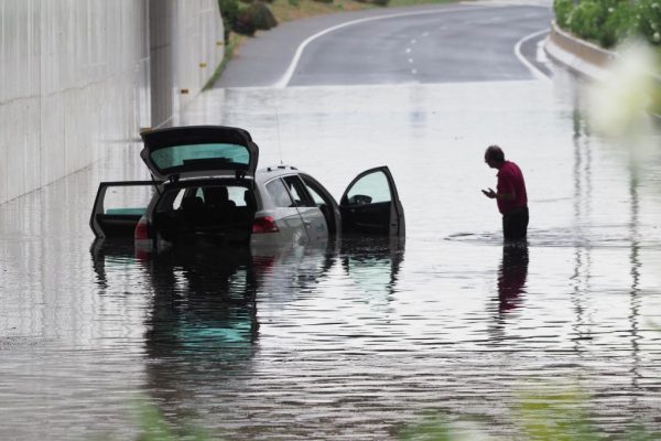 Ibiza Incorporated - IBZ INC - All Things Ibiza - NEWS