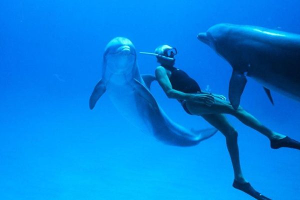 Ibiza Incorporated - IBZ INC - All Things Ibiza - NEWS