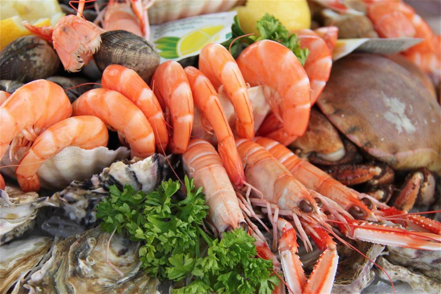 Ibiza Gourmet Fair