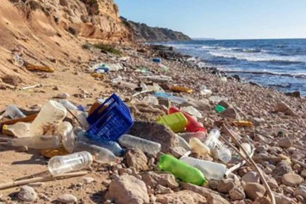 World Clean Up Day Ibiza