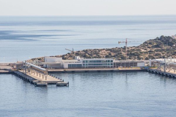 Special Plan Botafoc Ibiza