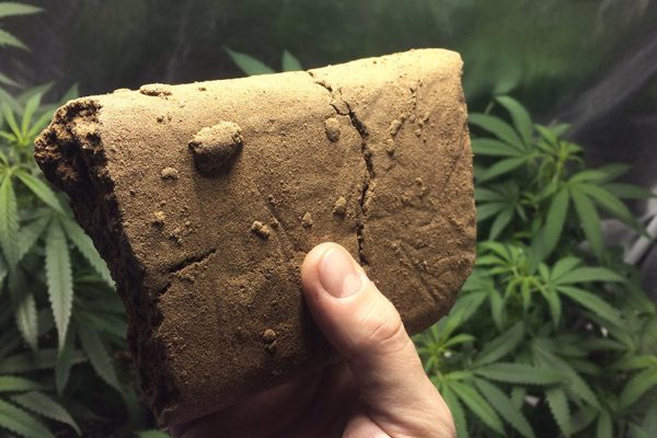 Hashish Heist
